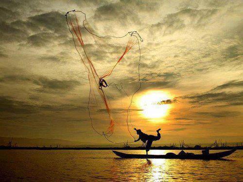 Net stuff - 1044235400535253390478780697313n.jpg